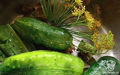 Огурцы необходимо подготовить. Тщательно вымыть, обрезать кончики, чтобы огурцы не горчили. Также тщательно вымыть всю зелень, листья, укроп, очистить чеснок.