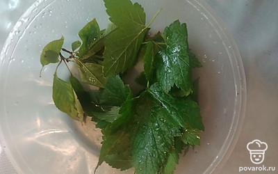 Помыть листья смородины и вишни, выложить в банку. 