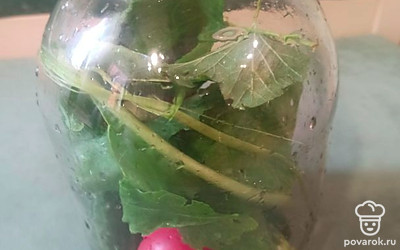 Вымыть лист хрена, положить в банку. 