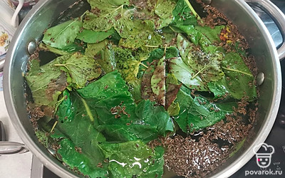 Листья и укроп залить водой и варить на небольшом огне 10 минут. 