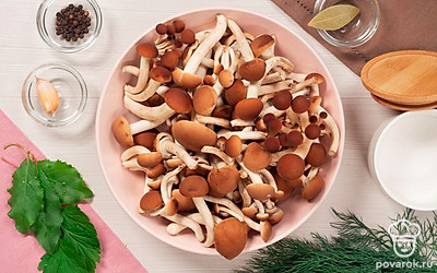 Грибы очистите от частиц земли, мусора и несколько раз промойте под проточной водой. Мелкие опята оставьте целыми, у крупных экземпляров отрежьте ножки. Чеснок очистите, некрупно нарежьте. Зонтики укропа, листья вишни, смородины, корень хрена вымойте, обсушите на бумажных полотенцах. Приготовьте стерилизованные банки и капроновые крышки.