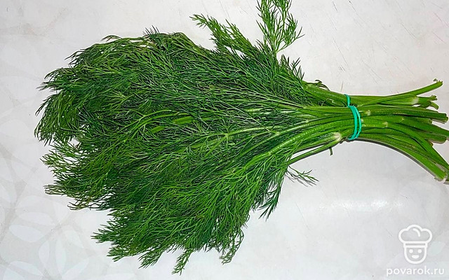 Простой способ заморозки укропа на зиму — Рецепт с фото