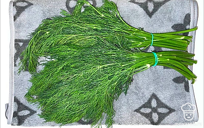 Промойте укроп и выложите на стол.