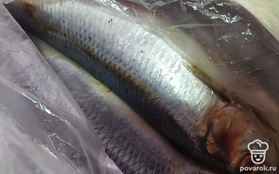 Сельдь очистите, отрежьте голову и хвост.