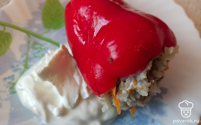 Фаршированные перцы за 60 минут — Рецепт с фото