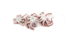 Мини-осьминоги