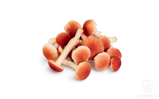 Опята — Рецепты с ингредиентом