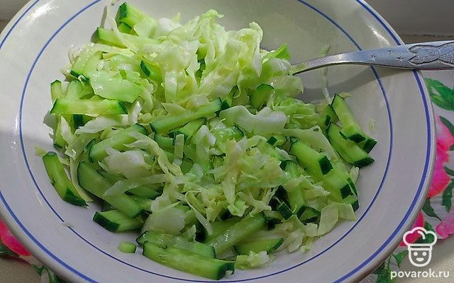 Салат из свежей капусты с огурцом — Рецепт с фото